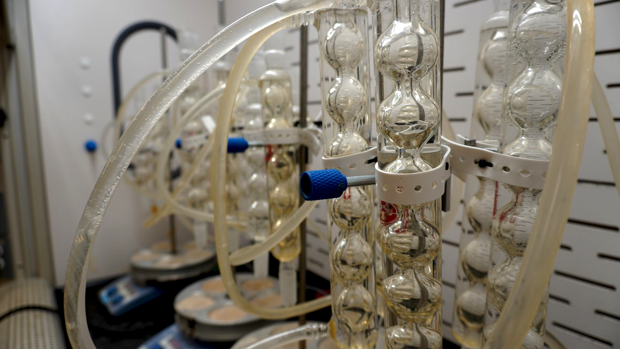 Lab scientist running large molecule analytical testing equipment in a biopharmaceutical testing lab